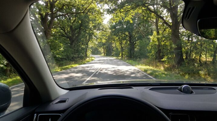 serengeti-verres-drivers-2025.png
