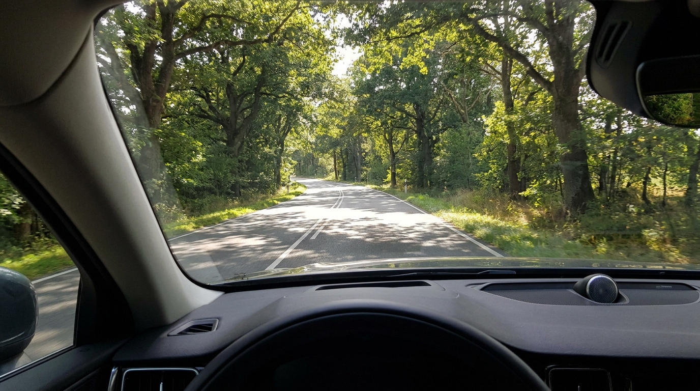 serengeti-verres-drivers-2025.png